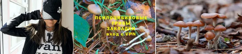 Псилоцибиновые грибы мухоморы  Верхний Уфалей 